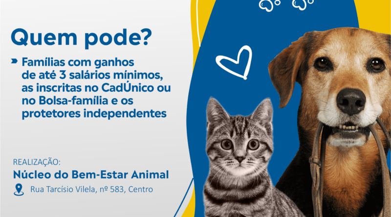 Adoção comunitária garante bem-estar de pets de rua