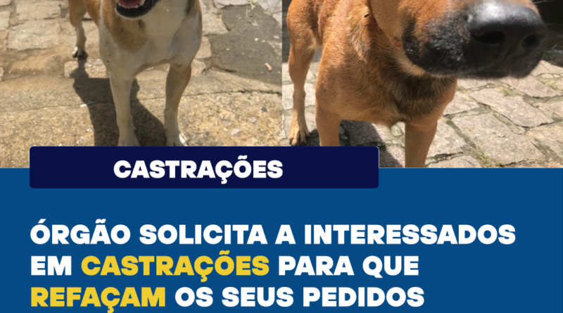 Canis Educação